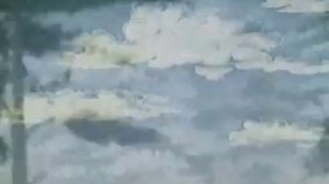 В лесной чаще