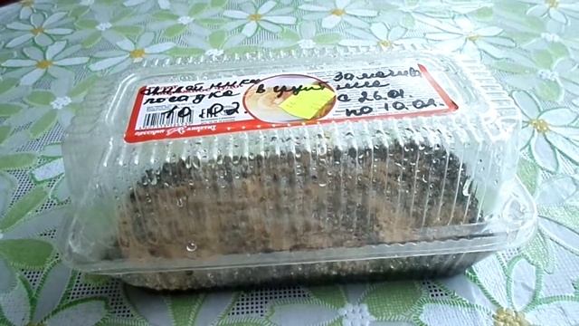 Лилейники из семян