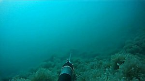 Подводная охота в Кабардинке 2013г ,ч. 1,"Море.Солнце,Караси"