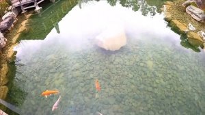 КУРОРТ МРИЯ СПА_ ЯПОНСКИЙ САД _Mriya Resort SPA _ КРЫМ 2022.mp4