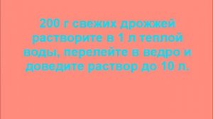 КАК ПРАВИЛЬНО ИСПОЛЬЗОВАТЬ ДРОЖЖИ ДЛЯ ПОДКОРМКИ И ЗАЩИТЫ РАСТЕНИЙ