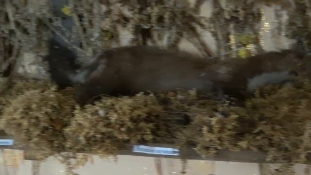 Моя малая Родина смотреть онлайн