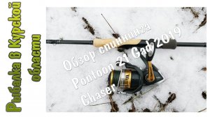 Обзор спиннинга Pontoon 21 Gad 2019 Chaser.  Посылка со спиннингом из Фмагазин