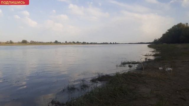 РЫБАЛКА В АСТРАХАНИ 2021. ЗАКИНУЛ ЗАКИДУШКИ И ПОНЕСЛОСЬ, РЫБАЛКА ПРОСТО СКАЗКА смотреть онлайн