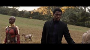 Черная Пантера 2 - что теперь будет?