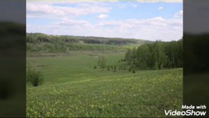 Яшьлегем тугае