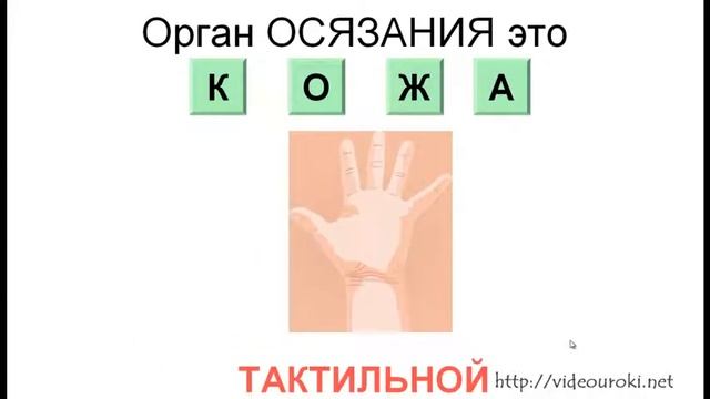 Урок 01  Информация  Виды информации по каналу восприятия