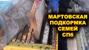 Мартовская подкормка пчёл. СПб.