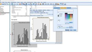 Гистограммы и описательная статистика: SPSS