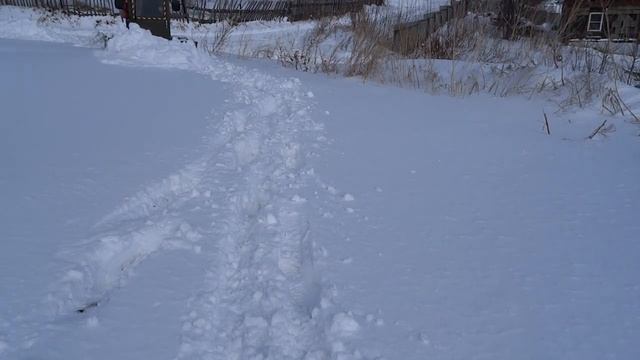 Трактор гусеничный самодельный,  чистка снега экшн ?  #самодельныйтрактор   #самоделки   #трактор