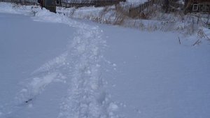 Трактор гусеничный самодельный,  чистка снега экшн ?  #самодельныйтрактор   #самоделки   #трактор