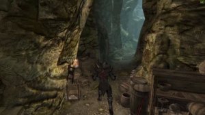 The Shadow Knight | Skyrim SE Build