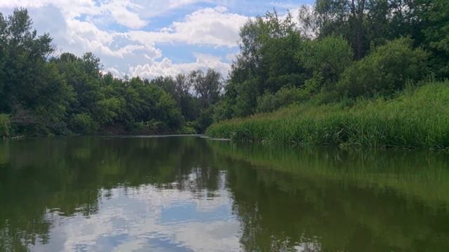 Река Ворона, правый приток Хопра. Борисоглебский Район. смотреть онлайн