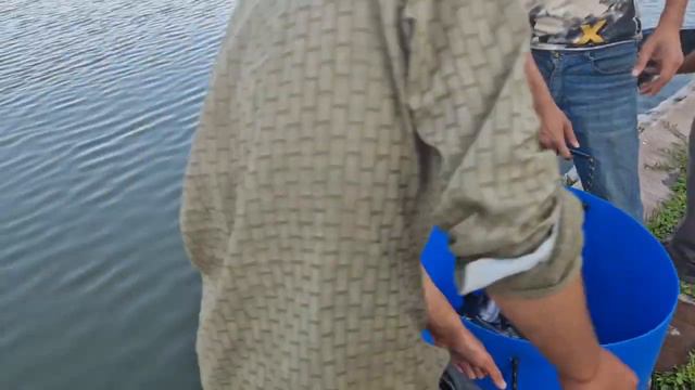 Зарыбление белугой август 2022 смотреть онлайн