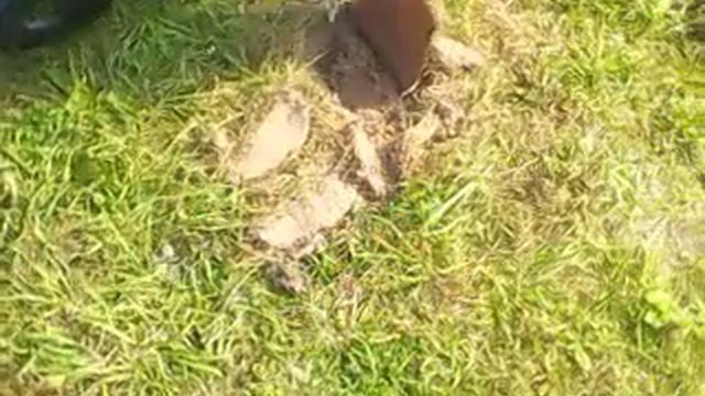 коп 2016 гаррет асе 250,лопата фискарс и карбюратор смотреть онлайн