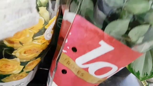 Уценка цветов.Уценили шикарную аглаонему в бутонах!Дождалась, уценили орхидею пахиопедиум(туфельку) смотреть онлайн