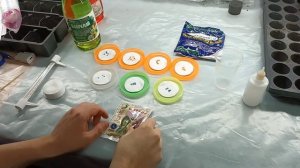 Посев перца на рассаду в 2022 , как прорастить семена перца