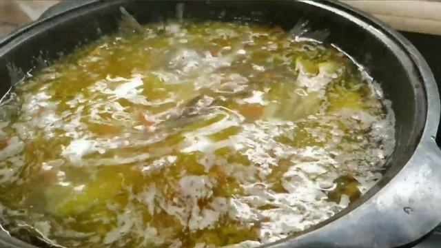 Как приготовить уху из ряпушки. Готовим уху вместе. Что кушать на самоизоляции? |Мировой закусон смотреть онлайн