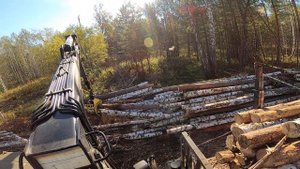 Лесозаготовка России.Бизнес с нуля.  Рассказ