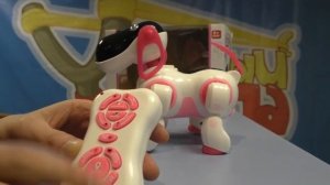 КиберПес Ки-Ки англоязычная версия 2018 года