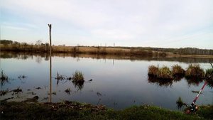 Крупный карась. Фидер,донка,удочка. Рыбалка в Алтайском крае.