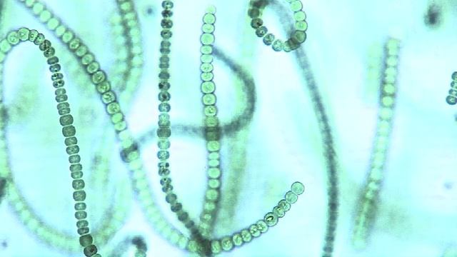 НАСА исследует связи Земли - NASA Explores Earth’s Connections смотреть онлайн