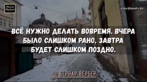 Мудрые слова из Жизни, Цитаты до Слёз со Смыслом! Очень Мудро Сказано