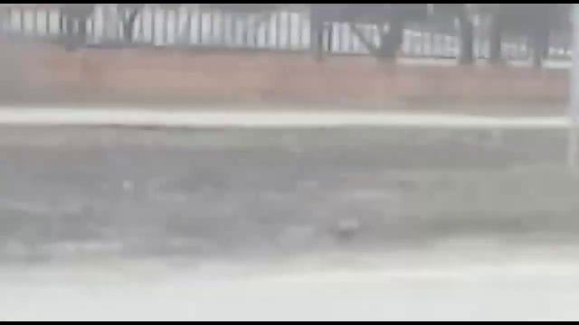 Город Морозовск Казачий Кадетский Корпус смотреть онлайн