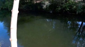 Ловля живца пауком на реке. Первый тест подъемника.