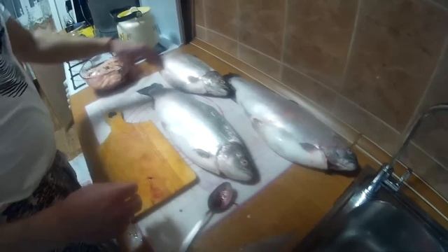 Как определить форель с ИКРОЙ 100% смотреть онлайн