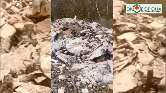 В Химкинский лес вывалили строительный мусор смотреть онлайн