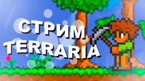 Играем, общаемся и слушаем музыку