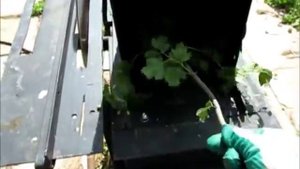 Садовый измелчитель травый и веток из рубанка на циркулярке