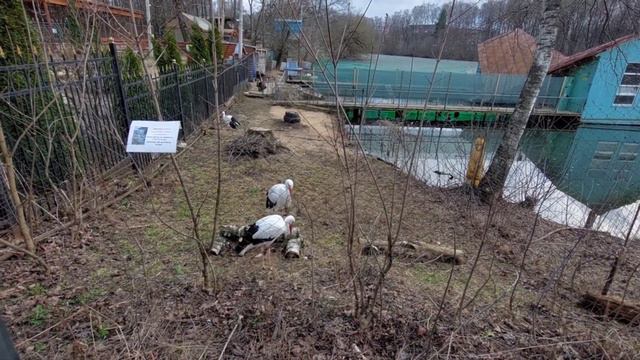 Аисты. смотреть онлайн