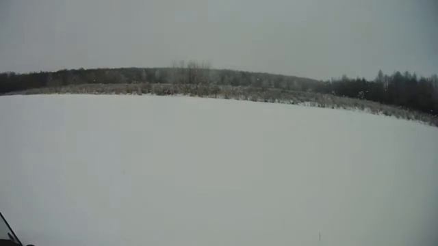 Прогулка с лайкой смотреть онлайн