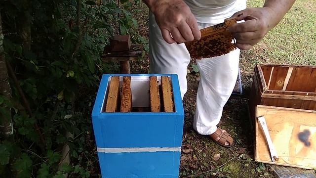 Может перезимует