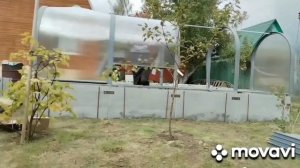 Монтаж парника тюльпан мини королевский