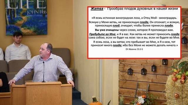 Жатва - праздник благодарения - Владимир Сенцов