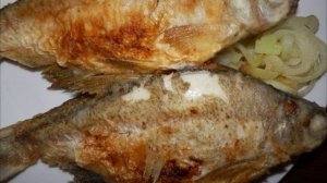Самая костлявая из речных рыб, но которую рыбаки обожают!