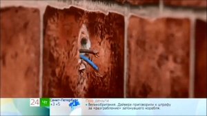 Полезные советы - что делать если замигал и погас свет - Андрей Добронравов