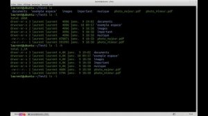 Enter the bash : Commandes cd & ls