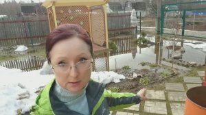 Видео привет с 6 соток 1 апреля 2023 года