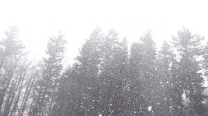 Снегопад 2.mp4