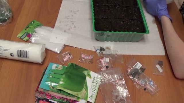 Посадка Китайских семян часть1 , купленных на Таобао смотреть онлайн