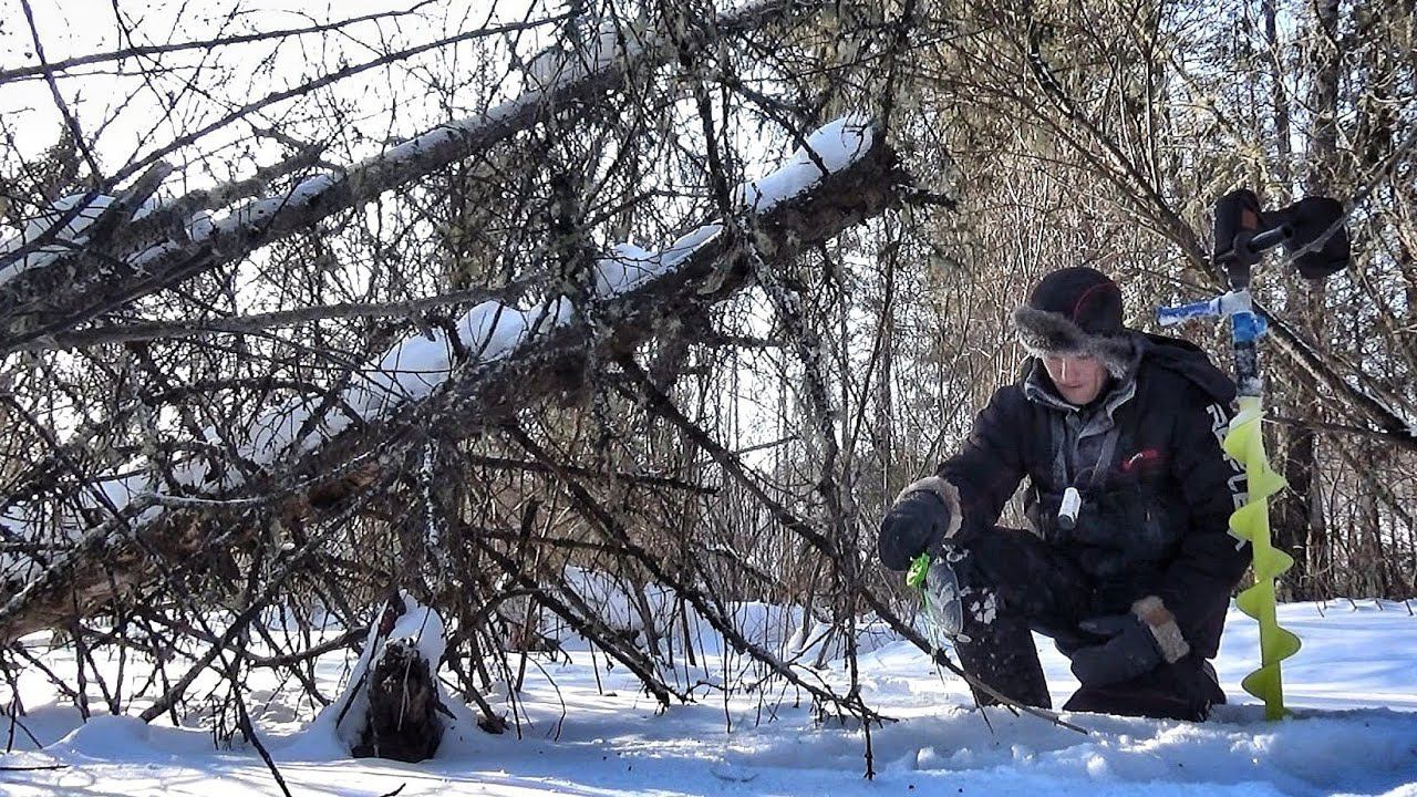 ЗАПРЕЩЁННЫЕ РЫБЫ и ТАЁЖНЫЙ РУЧЕЙ!  ДВЕ РЫБАЛКИ В СИБИРСКОЙ ГЛУШИ
