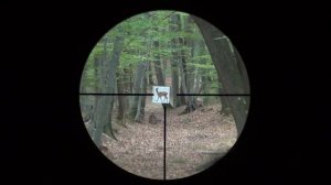 Docter Unipoint 1-4x24 reticle 4-0 subtensions