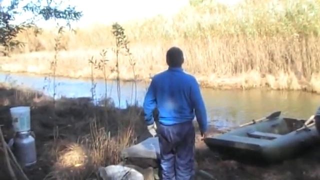 Енотовидная собака в Астраханской области. смотреть онлайн