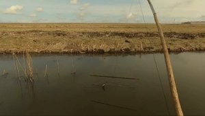 РЫБАЛКА НА ЭКРАНЫ-ТЕЛЕВИЗОРЫ. Наловили кучу рыбы.