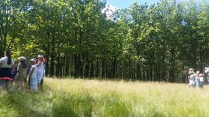 4 день ДОЛ ГАЛАКТИКА МБОУ СОШ с.Бестянка