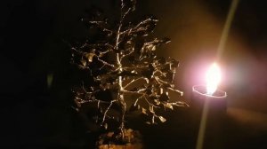 СУДЬБА, ДОЛЯ, РОК. ВЕДЬМИНА ИЗБА  ИНГА ХОСРОЕВА